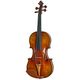 Franz Sandner Master de luxe Stradiv B-Stock Has slight traces of use