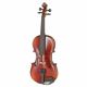 Gewa Allegro VL1 Violin 4/4 B-Stock Poderá apresentar ligeiras marcas de uso.