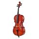 Roth & Junius RJC Cello Set 1/4 B-Stock Kan lichte gebruikssporen bevatten