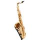 Schagerl SuperiorPro Tenor Sax  B-Stock May have slight traces of use