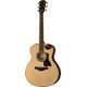 Taylor Builders Edition 816ce B-Stock May have slight traces of use