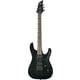 ESP LTD H-1001 QM See Thru B-Stock Eventuellt mindre spår av användning