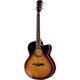 Larry Carlton A4-G VS B-Stock Evt. avec légères traces d'utilisation