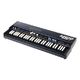 Crumar Mojo 61 Black Limited  B-Stock Ggf. mit leichten Gebrauchsspuren