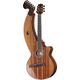 Timberline Guitars T70HGc-e Harp Guitar B-Stock