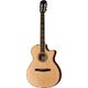 Taylor 814ce-N B-Stock Posibl. con leves signos de uso