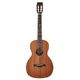 Richwood P-50 Parlor B-Stock Hhv. med lette brugsspor