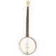 Gold Tone CC-Carlin 12 5-str.Ban B-Stock Posibl. con leves signos de uso
