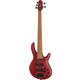 Cort B5 Element Open Pore R B-Stock May have slight traces of use