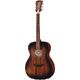 DAngelico Premier Tammany LS Age B-Stock Hhv. med lette brugsspor