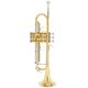 B&S BS210-1-0 Prodige Bb-  B-Stock Poate prezenta mici urme de utilizare