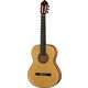 Alhambra 10 Fc Flamenco incl. C B-Stock eventualmente con lievi segni d'usura