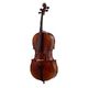 Gewa Allegro VC1 Cello Set  B-Stock Hhv. med lette brugsspor