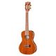 Kala KA-KCG Hawaiian Koa Co B-Stock