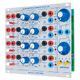 Tiptop Audio Buchla Model 281t B-Stock Evt. avec légères traces d'utilisation