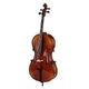 Gewa Allegro VC1 Cello Set  B-Stock Enyhe kopásnyomok előfordulhatnak