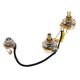 Mojotone SC Junior Prewired Har B-Stock Evt. avec légères traces d'utilisation