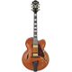 Ibanez AF95-DA B-Stock Kan lichte gebruikssporen bevatten