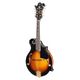 Gewa VGS Mandoline F-2 Prem B-Stock Ggf. mit leichten Gebrauchsspuren