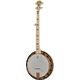 Deering Goodtime Two Deco Banj B-Stock Poate prezenta mici urme de utilizare