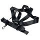 LUGO Bassbelt Pro XS B-Stock May have slight traces of use
