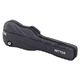 Ritter Bern Electric Bass ANT B-Stock Kan lichte gebruikssporen bevatten