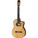 Takamine DH90 w/Softcase B-Stock Kan lichte gebruikssporen bevatten