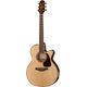 Takamine P5NC w/Softcase B-Stock eventualmente con lievi segni d'usura