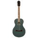 Ortega RRA-PLT Parlor Ranger  B-Stock May have slight traces of use