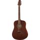 Applause AAD96-M Mahogany B-Stock Ggf. mit leichten Gebrauchsspuren