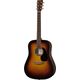 Martin Guitar DX2E Ziricote Burst B-Stock Ggf. mit leichten Gebrauchsspuren