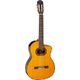 Takamine GC6CE-Nat B-Stock Hhv. med lette brugsspor