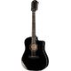 Taylor 250ce-BLK Plus B-Stock May have slight traces of use