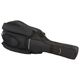 Roth & Junius BSB-05 Bass Soft Bag 3 B-Stock Posibl. con leves signos de uso
