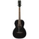 Ibanez PN14MHE-WK B-Stock eventualmente con lievi segni d'usura