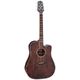 Takamine GD21CE SM B-Stock Ggf. mit leichten Gebrauchsspuren