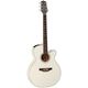 Takamine GN37CE PW B-Stock eventualmente con lievi segni d'usura