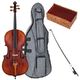 Roth & Junius Orchestra Cello Set Ant. Boxw.