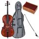 Roth & Junius Orchestra Cello Set Ant. Ebony