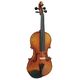Hidersine Venezia Antiqued Viol. B-Stock May have slight traces of use