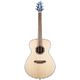 Breedlove Discovery S Concert B-Stock Kan lichte gebruikssporen bevatten