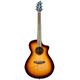 Breedlove Discovery S Concert ED B-Stock Eventuellt mindre spår av användning