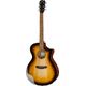 Breedlove Discovery S Dreadn Con B-Stock May have slight traces of use