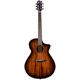 Breedlove Wildwood Pro Drdnght C B-Stock eventualmente con lievi segni d'usura