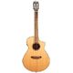 Breedlove Discovery S Concert Ny B-Stock eventualmente con lievi segni d'usura