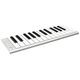 ESI Xkey 25 B-Stock May have slight traces of use