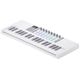 Novation Launchkey Mini 37 MK4  B-Stock Kan lichte gebruikssporen bevatten