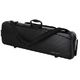 Roth & Junius PolyCarb Violin Case C B-Stock May have slight traces of use