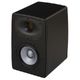 EVE Audio EXO 27 B-Stock Ggf. mit leichten Gebrauchsspuren