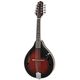 Ibanez M510-DVS B-Stock Poderá apresentar ligeiras marcas de uso.